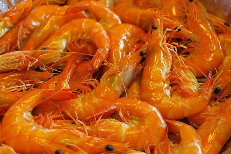 Foodie Routes